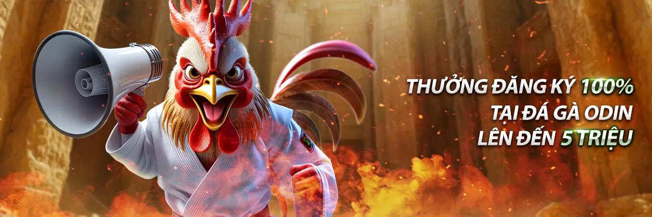 Phân tích kèo cược bet 168